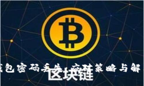 加密钱包密码丢失：应对策略与解决方案