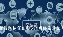 小狐狸钱包如何支持BSC网络及其使用指南