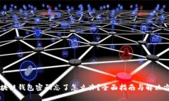 区块链钱包密码忘了怎么办？全面指南与解决方