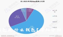 : 小狐狸钱包是什么钱包？详细介绍与使用指南