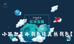 小狐狸是冷钱包还是热钱包？
