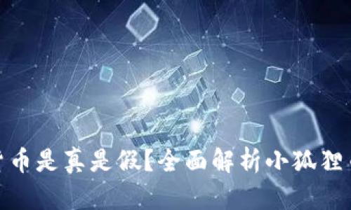 : 小狐狸加密货币是真是假？全面解析小狐狸币的本质与前景