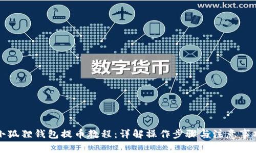 小狐狸钱包提币教程：详解操作步骤与注意事项