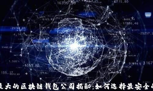 
全球最大的区块链钱包公司揭秘：如何选择最安全的钱包