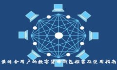 最适合用户的数字货币钱包推荐及使用指南