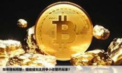   区块链链上钱包使用指南：从基本操作到安全防