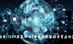 波场币（TRX）是真的吗？全面解析波场币背后的