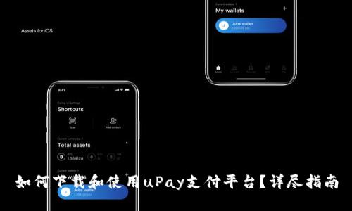 如何下载和使用uPay支付平台？详尽指南