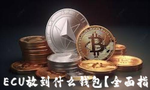 
数字货币ECU放到什么钱包？全面指南与推荐