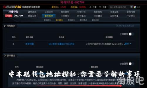 中本聪钱包地址探秘：你需要了解的事项