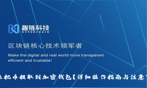 怎么把币提取到加密钱包？详细操作指南与注意事项
