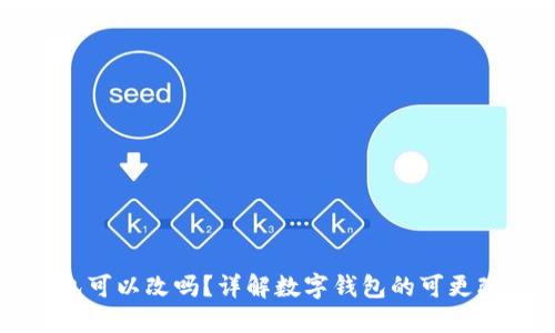 虚拟数字钱包可以改吗？详解数字钱包的可更改性与安全性