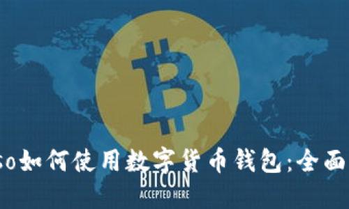 biaso如何使用数字货币钱包：全面指南
