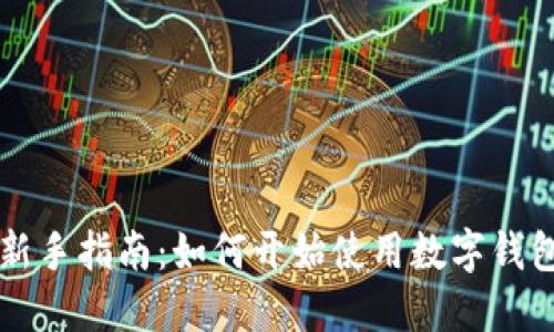 新手指南：如何开始使用数字钱包