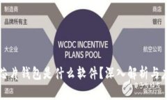 区块链芯片钱包是什么软件？深入解析与应用场