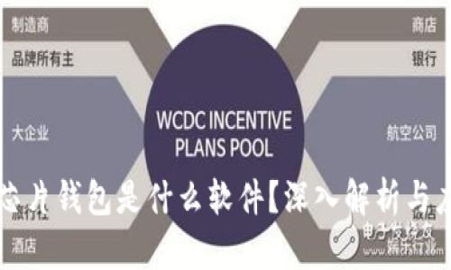 区块链芯片钱包是什么软件？深入解析与应用场景