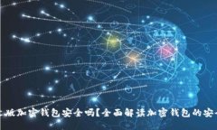 中文版加密钱包安全吗？全面解读加密钱包的安