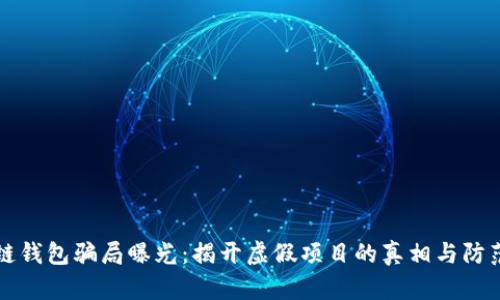 区块链钱包骗局曝光：揭开虚假项目的真相与防范技巧