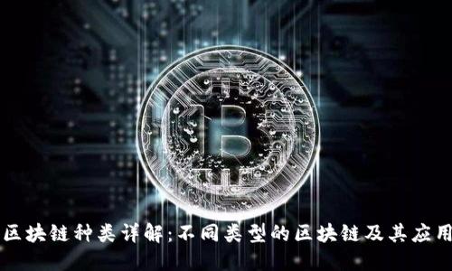 区块链种类详解：不同类型的区块链及其应用