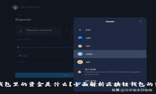区块链钱包里的资金是什么？全面解析区块链钱包的资产管理