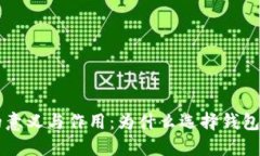 虚拟币放到钱包的意义与作用：为什么选择钱包