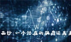揭开Pi币的面纱：一个潜在的骗局还是未来的机遇