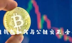 区块链钱包如何与公链交互：全面解析
