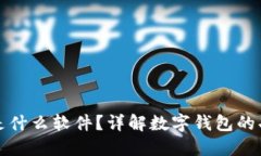 数字钱包是什么软件？详解数字钱包的功能与应