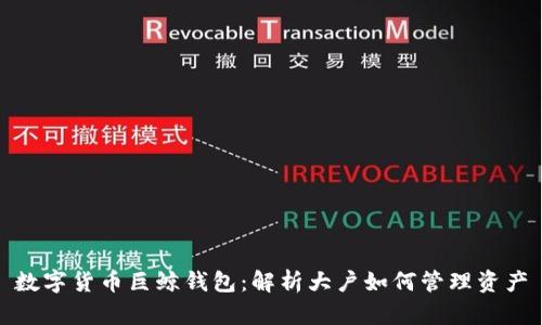 数字货币巨鲸钱包：解析大户如何管理资产