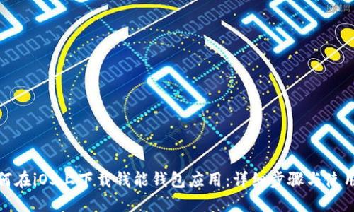 : 如何在iOS上下载钱能钱包应用：详细步骤与使用技巧