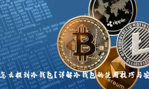 虚拟币怎么提到冷钱包？详解冷钱包的使用技巧与安全措施