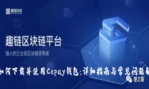 : 如何下载并使用Copay钱包：详细指南与常见问题解答