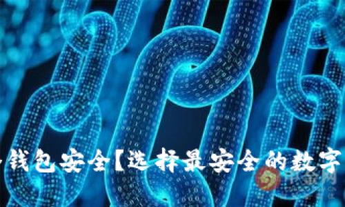 加密货币哪个钱包安全？选择最安全的数字货币钱包指南