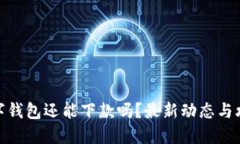 数字钱包还能下款吗？最新动态与攻略