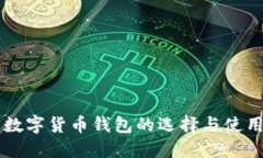 广州数字货币钱包的选择与使用指南