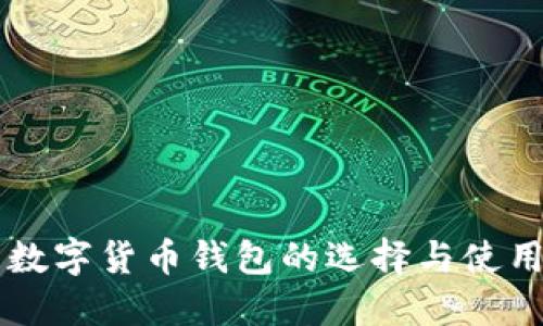 广州数字货币钱包的选择与使用指南