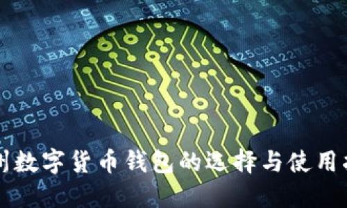广州数字货币钱包的选择与使用指南