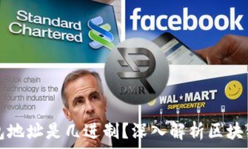   
区块链钱包地址是几进制？深入解析区块链地址格式