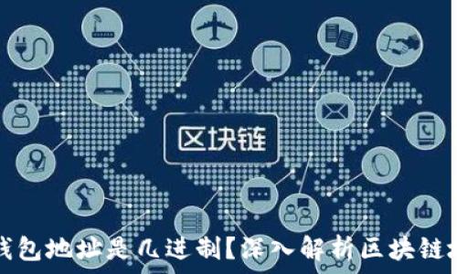   
区块链钱包地址是几进制？深入解析区块链地址格式