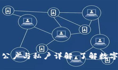 虚拟币钱包的公户与私户详解，了解数字资产的安全性