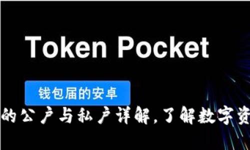虚拟币钱包的公户与私户详解，了解数字资产的安全性