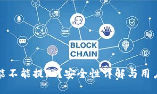 数字钱包能不能提现？安全性详解与用户经验分享
