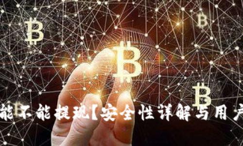 数字钱包能不能提现？安全性详解与用户经验分享