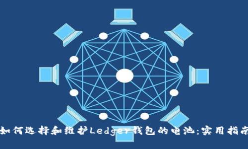 如何选择和维护Ledger钱包的电池：实用指南