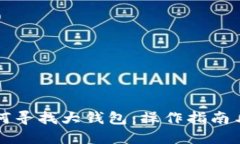 区块链如何寻找大钱包：操作指南与实用技巧