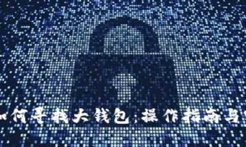 区块链如何寻找大钱包：操作指南与实用技巧
