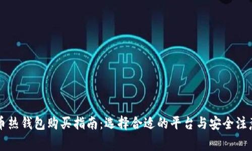 虚拟币热钱包购买指南：选择合适的平台与安全注意事项