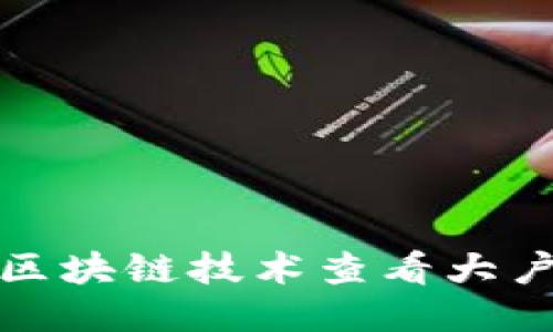 如何通过区块链技术查看大户钱包信息