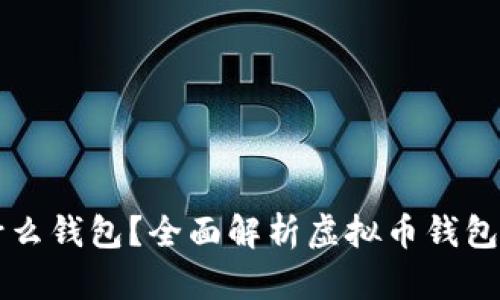 虚拟币一般用什么钱包？全面解析虚拟币钱包类型及使用指南