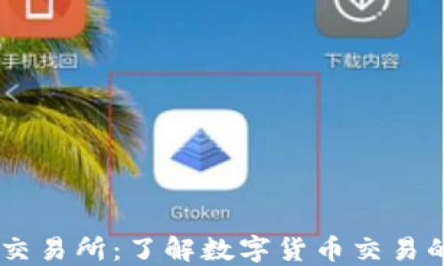 
币圈知名交易所：了解数字货币交易的最佳平台
